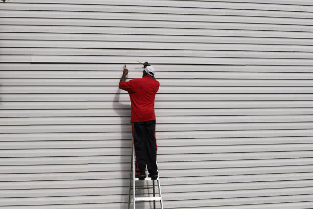 Best Hoarding Cleanup  in , IN