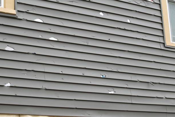 Best Construction Debris Removal  in , IN
